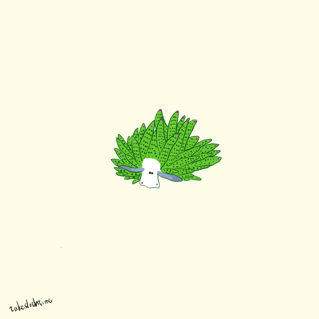 海底的樹精靈-葉羊Leaf Sheep