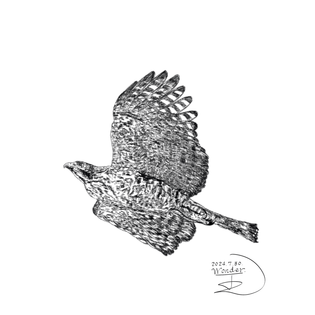 觀看熊鷹Salung生活人次突破15萬人！閱讀文章了解台灣體型最大的猛禽