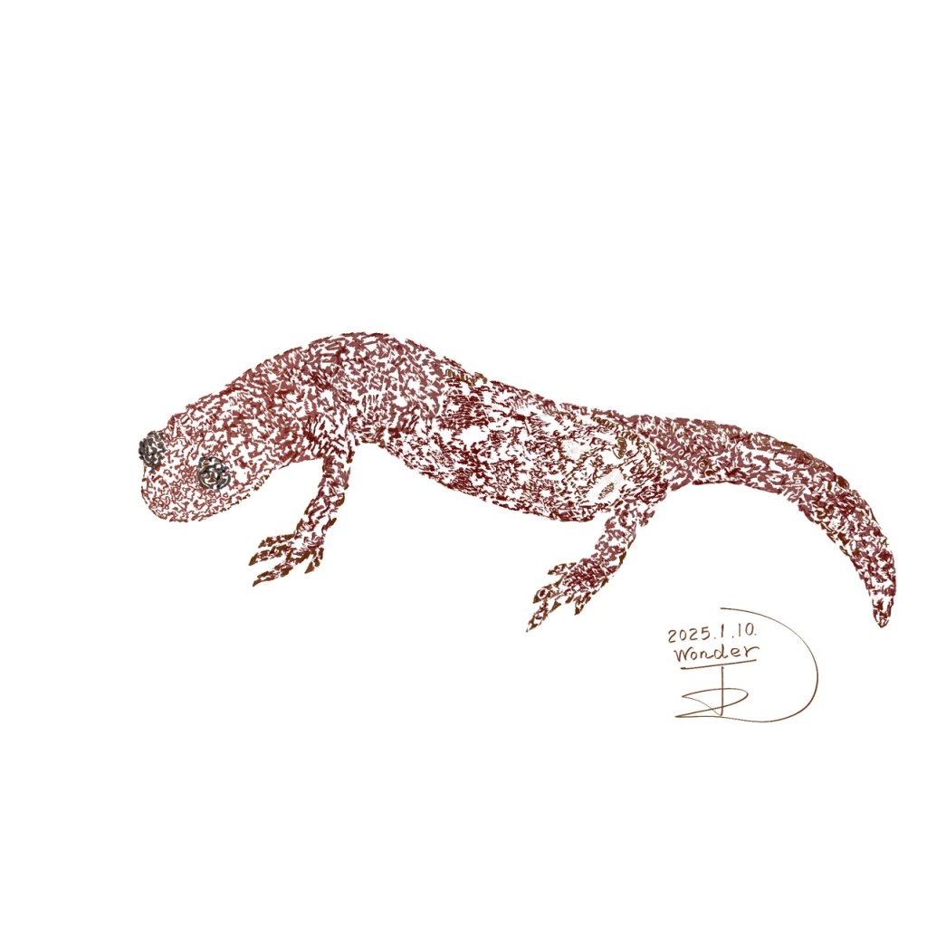 山椒魚介紹：台灣珍稀瀕危生物