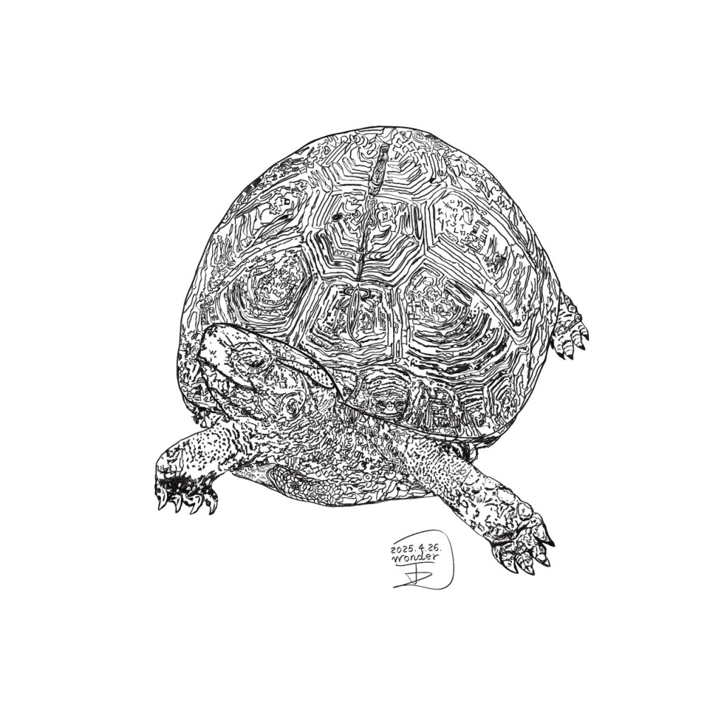 食蛇龜的真相：不吃蛇的保育故事