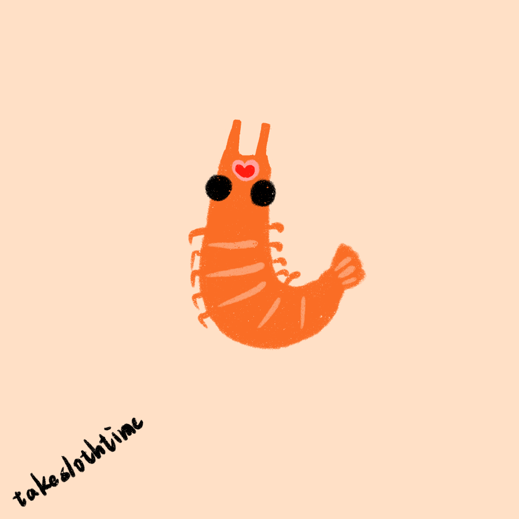 心臟在頭部的動物-蝦shrimp
